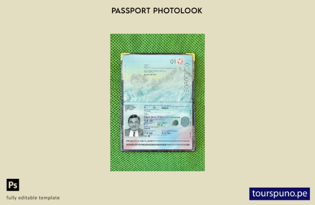 listo para imprimir la plantilla de presentación fotográfica del pasaporte de 12